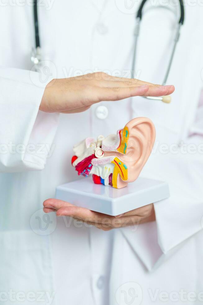 ear health diet plan healthy nutrition by SwasthaRaho